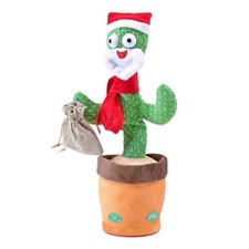 Kögler tanzender Kaktus