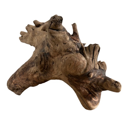 Treibholz xxl - treibholz,