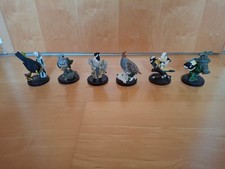 Unsere schöne Vogelwelt