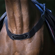 Eric Thomas elastisches