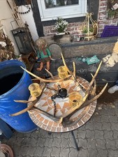 Rehgeweih Lampe Hirschhorn Geweihlampe