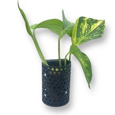 Pflanzenaufhänger für