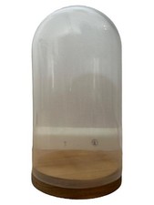 IKEA BEGÅVNING Glasglocke Holzsockel 19cm Transparent Modern Minimalistisch