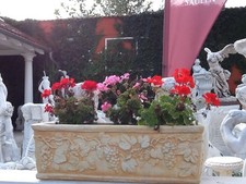 Pflanzkasten Weindekor