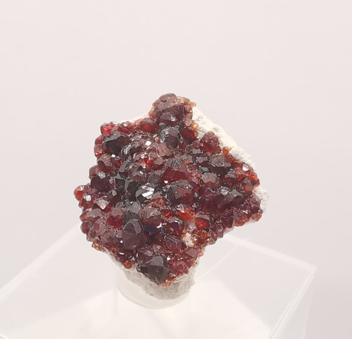 Sammler thumbnail granat - ✨,