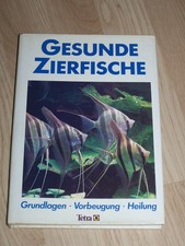 Gesunde Zierfische - Aquarium