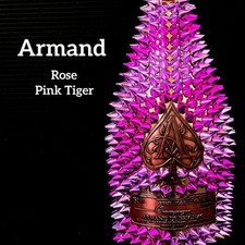 Leere Schnapsflaschen Armando