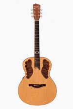 Elektro Akustik Gitarre