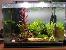 Daytime Cluster 40.2 LED 20W