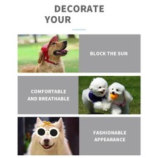 Sun Shielding Pet Glasses