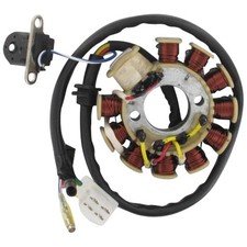Lichtmaschine Stator