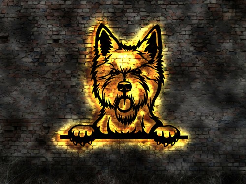 Westie west highland - westie,