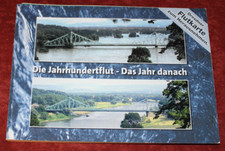 Die Jahrhundertflut - Das Jahr