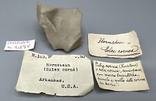 HISTORISCH Hornstein Silex Arkansas USA aus alter Mineraliensammlung