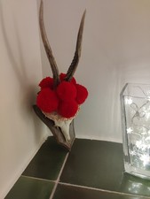 Echtes Deko Geweih Hirschgeweih Schwarzwald Bollenhut Klein Landhausstil Gastro