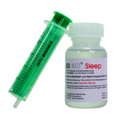 Koi med sleep - sleep,