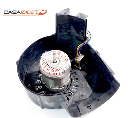 Originalmotor r50dt042 230v - originalmotor,