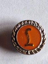 Orginal PIN  Laufabzeichen