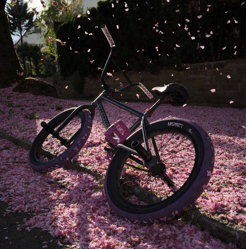 Wethepeople justice bmx - justice, 20"