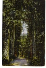 Blick v. d. hohen Sonne