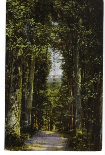 Blick hohen sonne - blick,