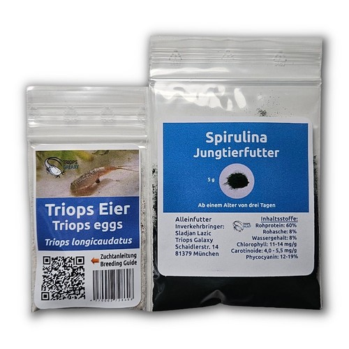 Triops longicaudatus