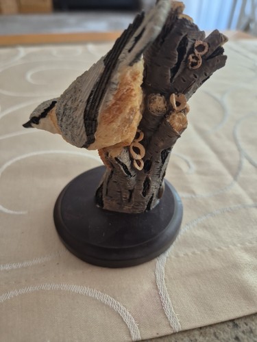 Schöne vogelwelt collection - schöne,