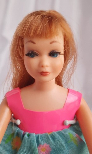 Barbie skipper tnt - barbie,