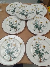 Villeroy boch botanica - villeroy,
