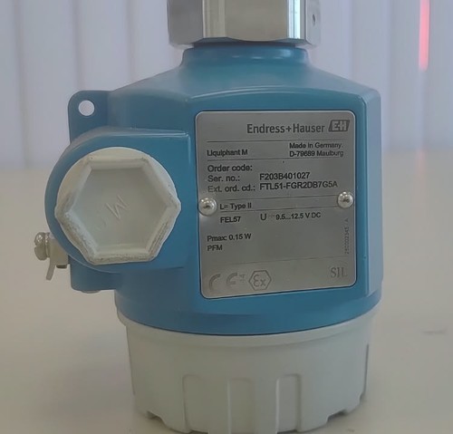 Endress hauser liquiphant - liquiphant, m