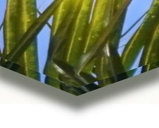 Wandbild Boote, Meer auf