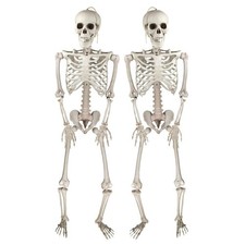 tRealistische Skelett Deko