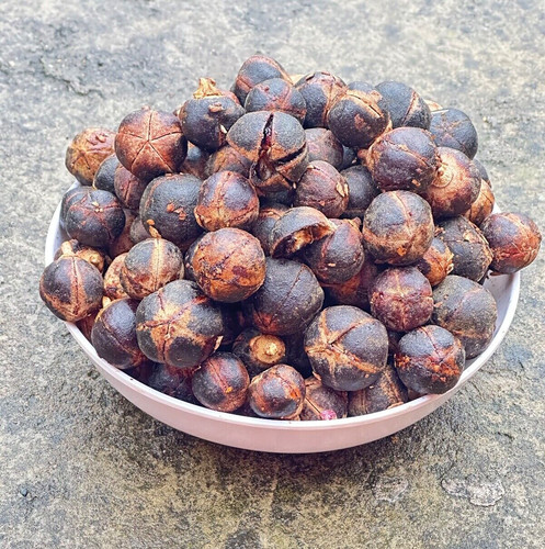 Gorontula früchte rotz - gorontula, apfel