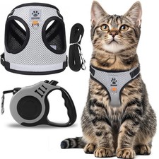 Katzengeschirr mit Leine