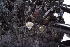 Edelstein Weißer Spektrolith Ohrstecker