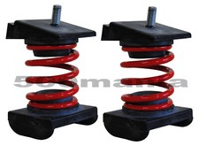 Paar Federn Stärkt Armbrust