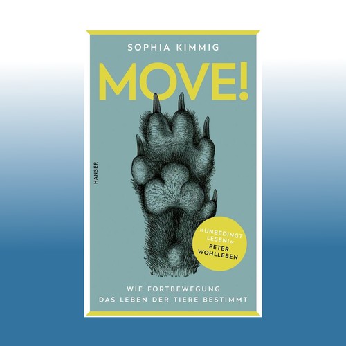 Move sophia kimmig - move!, |