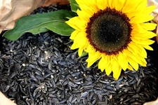 25kg bird garden - 25kg, bird´s