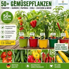 Gartenperle auswahl aus - gartenperle, 60+