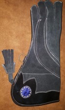 Adler, Falconry & Eulen