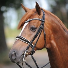 % Kavalkade Kandare Antonia -UVP €210,90 -Reitsport NuddelHof -NH
