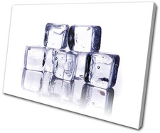 Food Kitchen Ice Cubes SINGLE