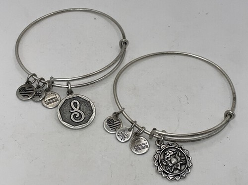 Alex und ani silber - alex,