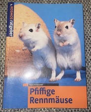 PFIFFIGE RENNMÄUSE, Kosmos