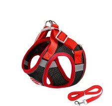 Hundegeschirr In  den