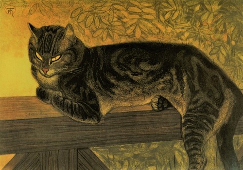 Grußkarte sommer katze auf - grußkarte:,
