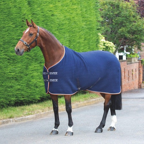Shires horse tempest original - shires,