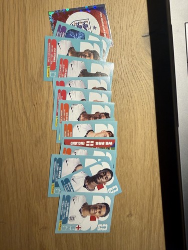 Panini fifa world - fifa, cup