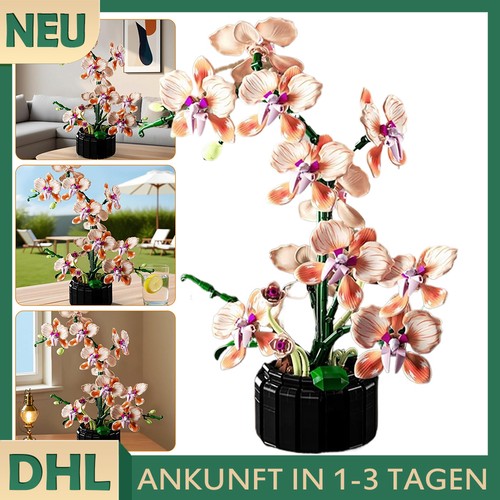 Orchidee bausteine blume - orchidee, se