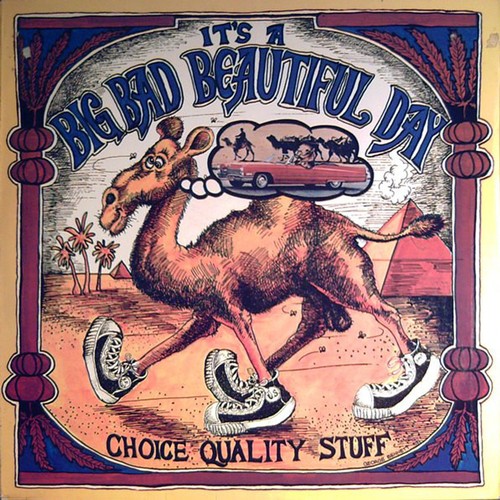 Beautiful day choice - a,